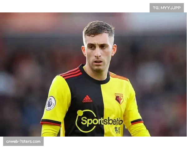 从重伤中恢复，乌迪内斯边锋德乌洛费乌替补登场献助攻